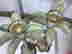 item-121086084=3