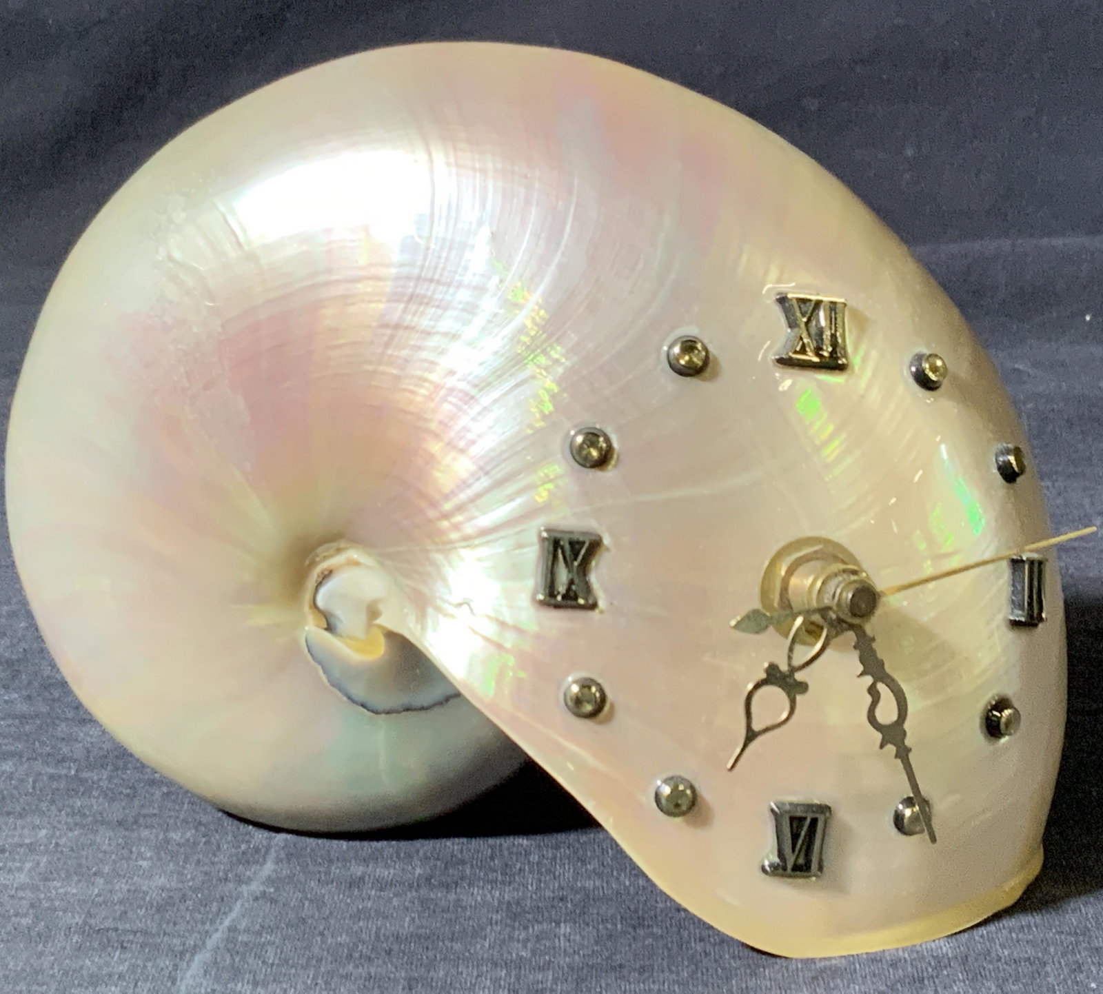 SARY SHELL Pearl Nautilus Shell Clock (1 of 10)