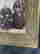 item-122773155=4