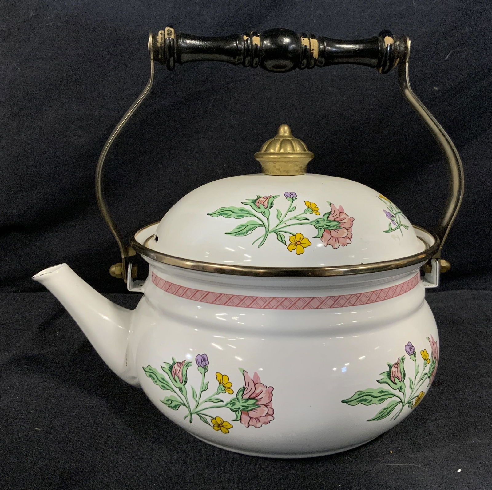 Vintage Enamelware Tea Kettle w/ Floral Decor (1 of 8)