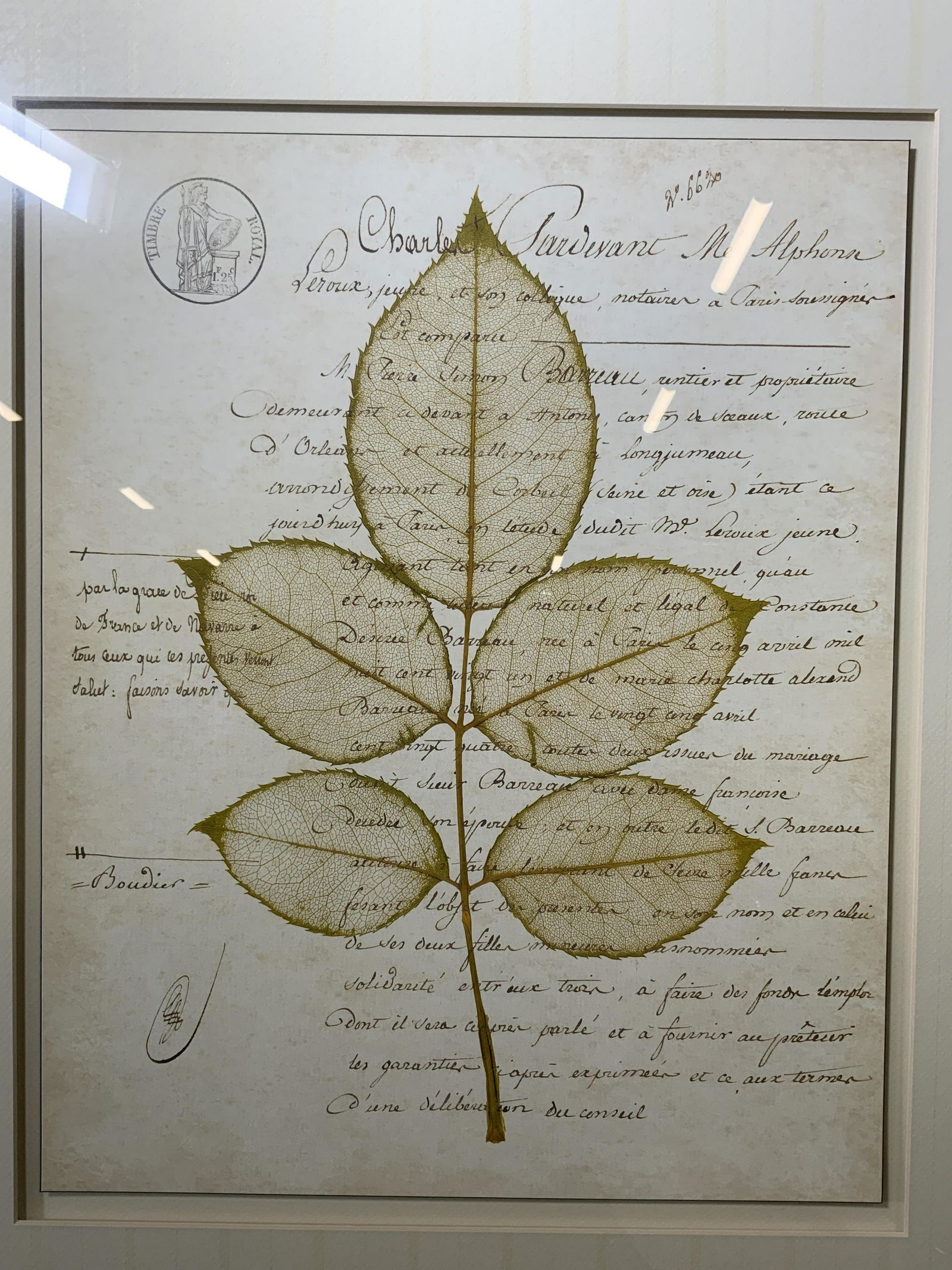 Framed BOOKER MOREY Nordic Leaf Lithograph (1 of 7)