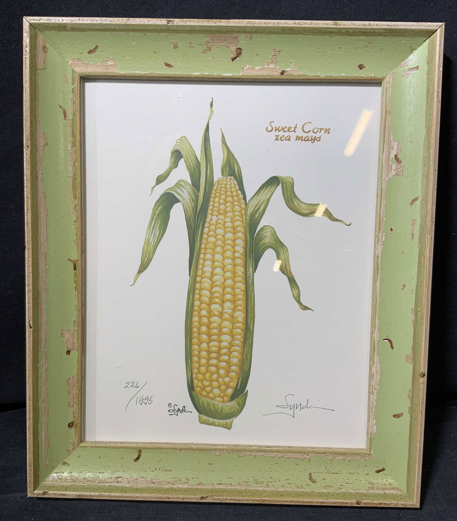 LYNDI LENDE Signed Lithograph of Sweet Corn (1 of 8)