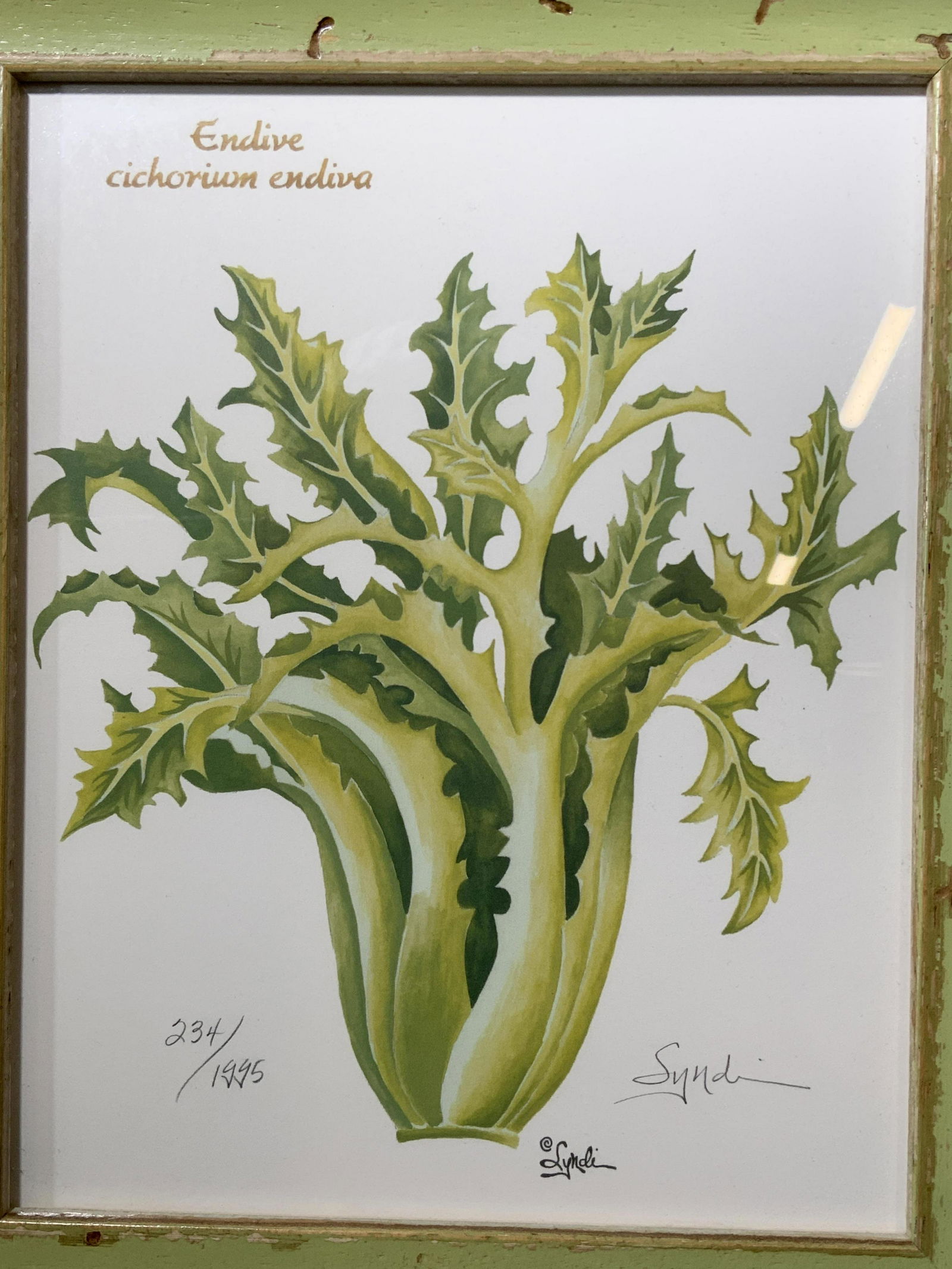 LYNDI LENDE Signed Lithograph of Endive (1 of 5)