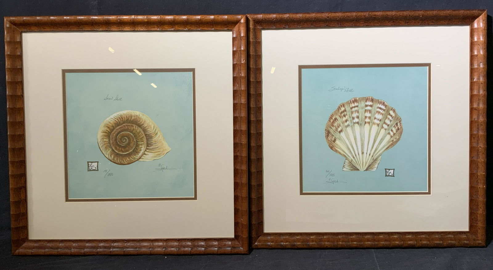 LYNDI LENDE Signed Pr Sea Shells LmtEd Lithographs (1 of 11)