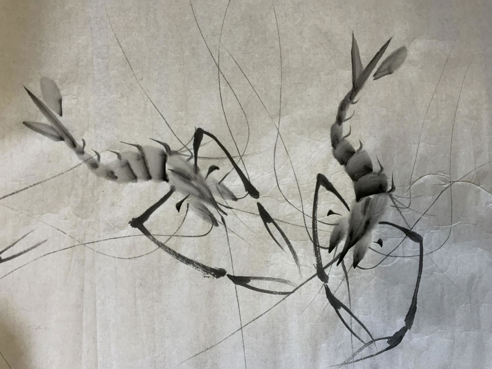 Signed Ink illustration of Shrimp on Rice Paper (1 of 6)