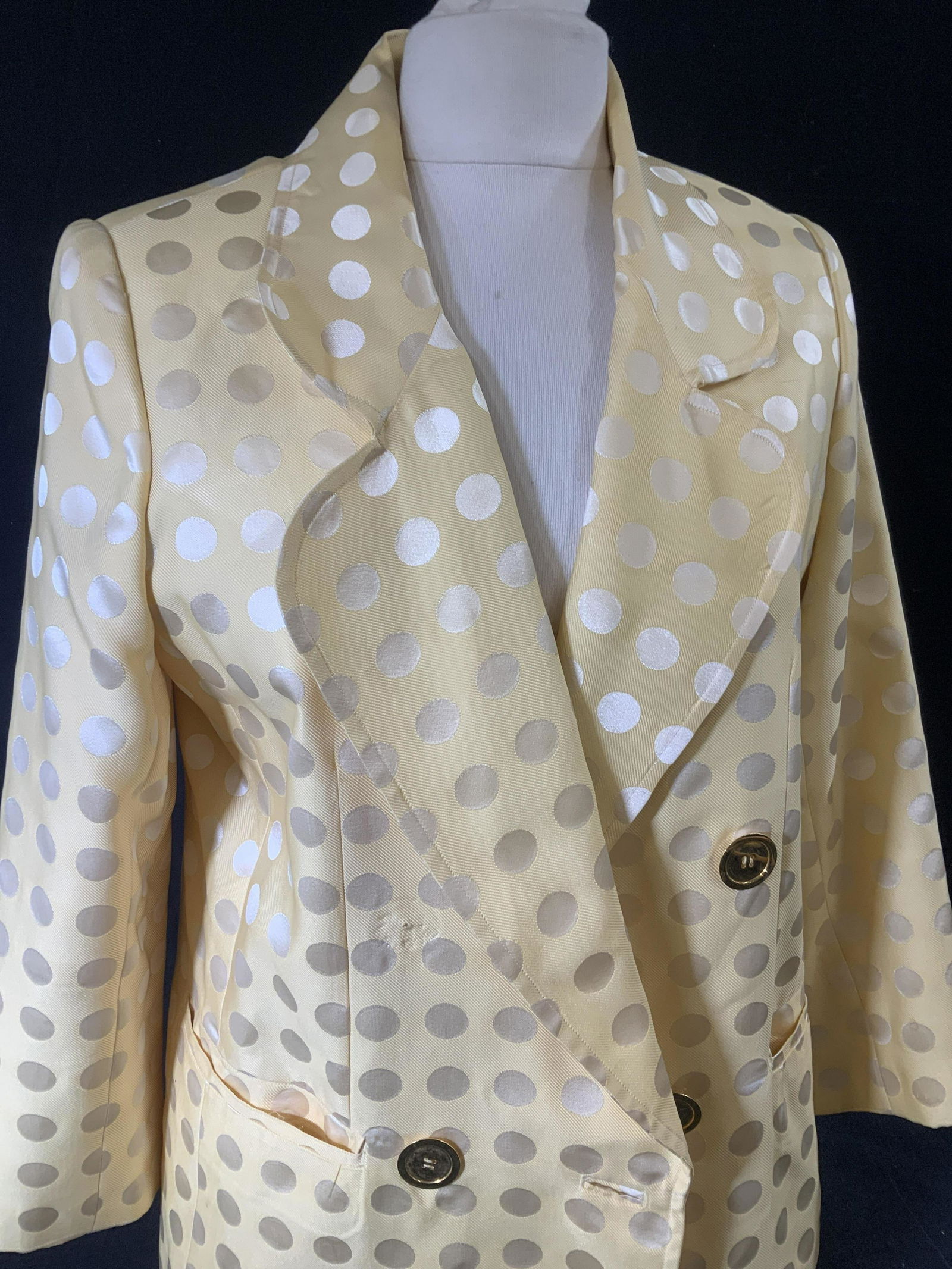MICHELE D Embroidered Polka Dot Blazer (1 of 6)