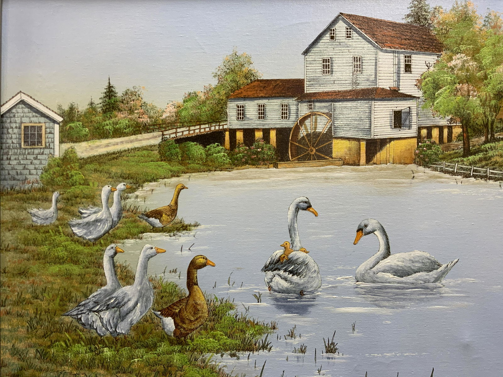 R SMITH CANVAS PRINT of Swans Swimming (1 of 9)