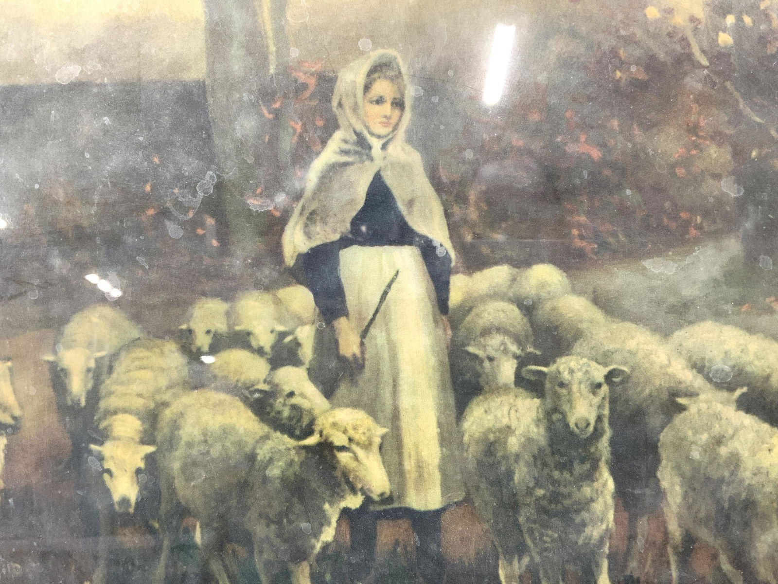 Maiden With Sheep Flock Vintage Lithograph (1 of 5)