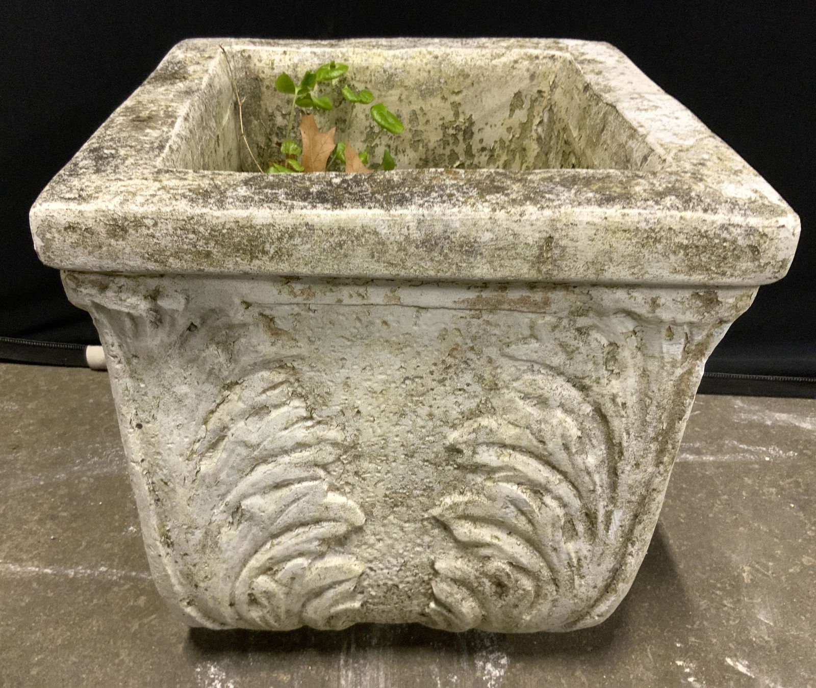 White Thick Walled Cement Planter (1 of 10)