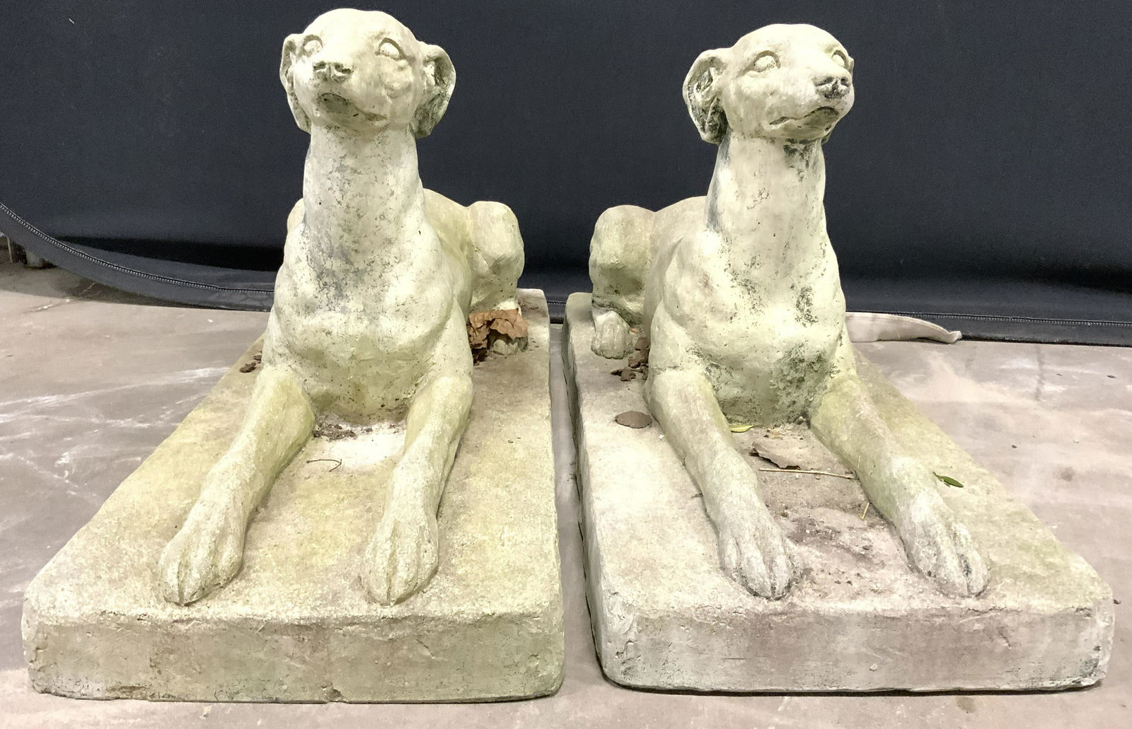 Pair CAMPANIA INTL Greyhound Garden Statuaries (1 of 10)