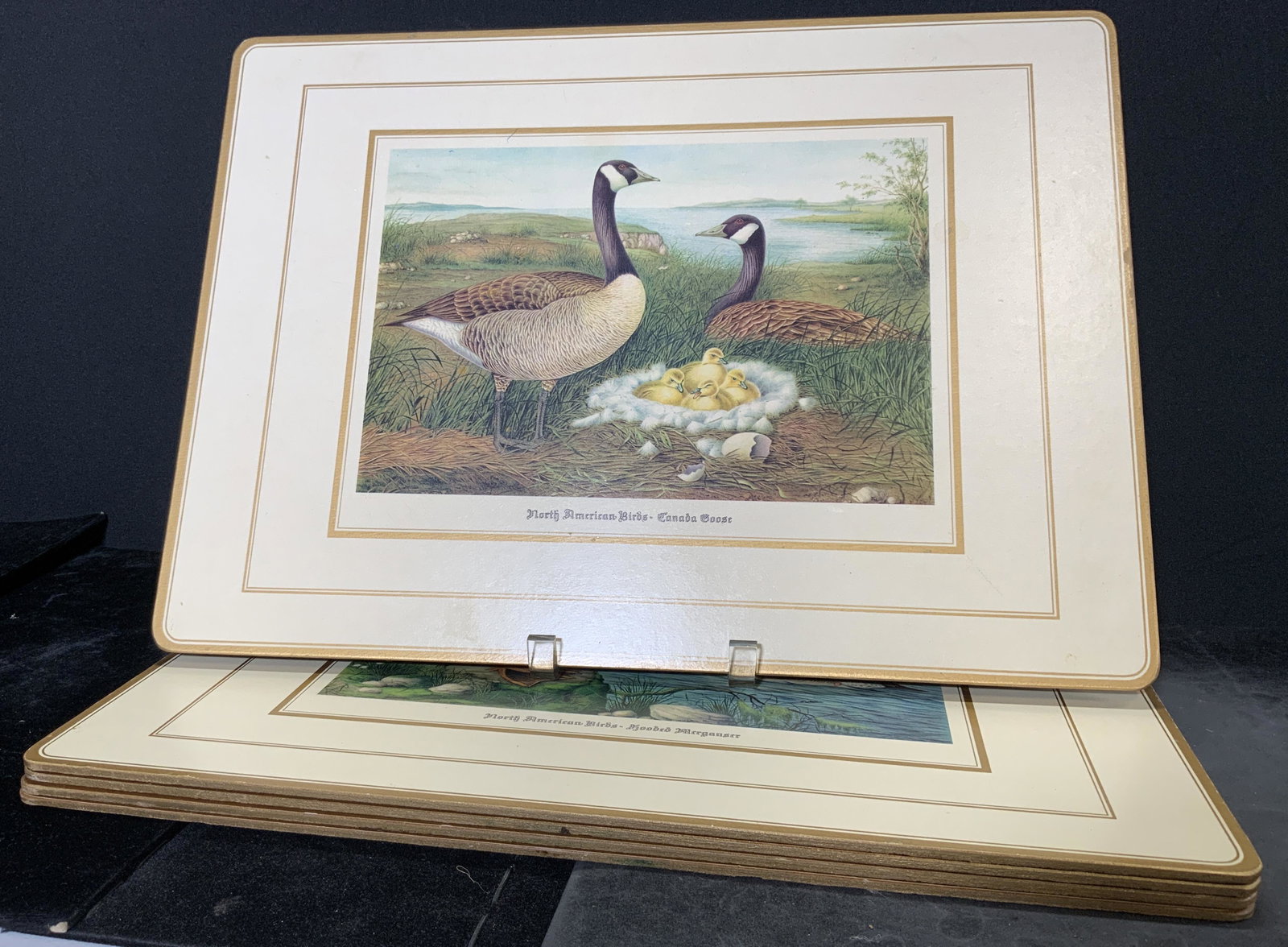 Lot 5 AYNSLEY CO Cork Board Placemats: Lot 5 AYNSLEY CO cork board placemats. Each depicts different North American waterfowl, the names of each type of bird are listed below the illustrations. 18 inches l and 13 inches w. Surface wear and
