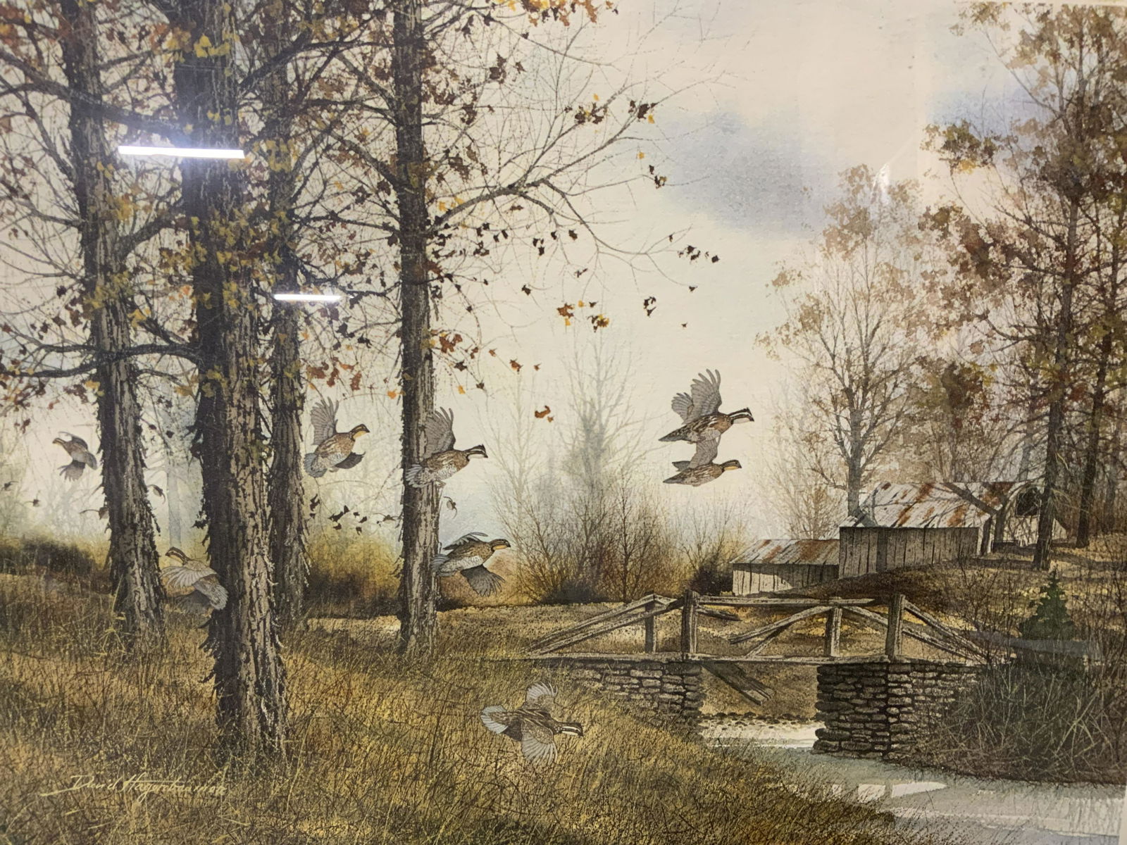 DANIEL Signed Lithograph of Birds In Nature (1 of 8)