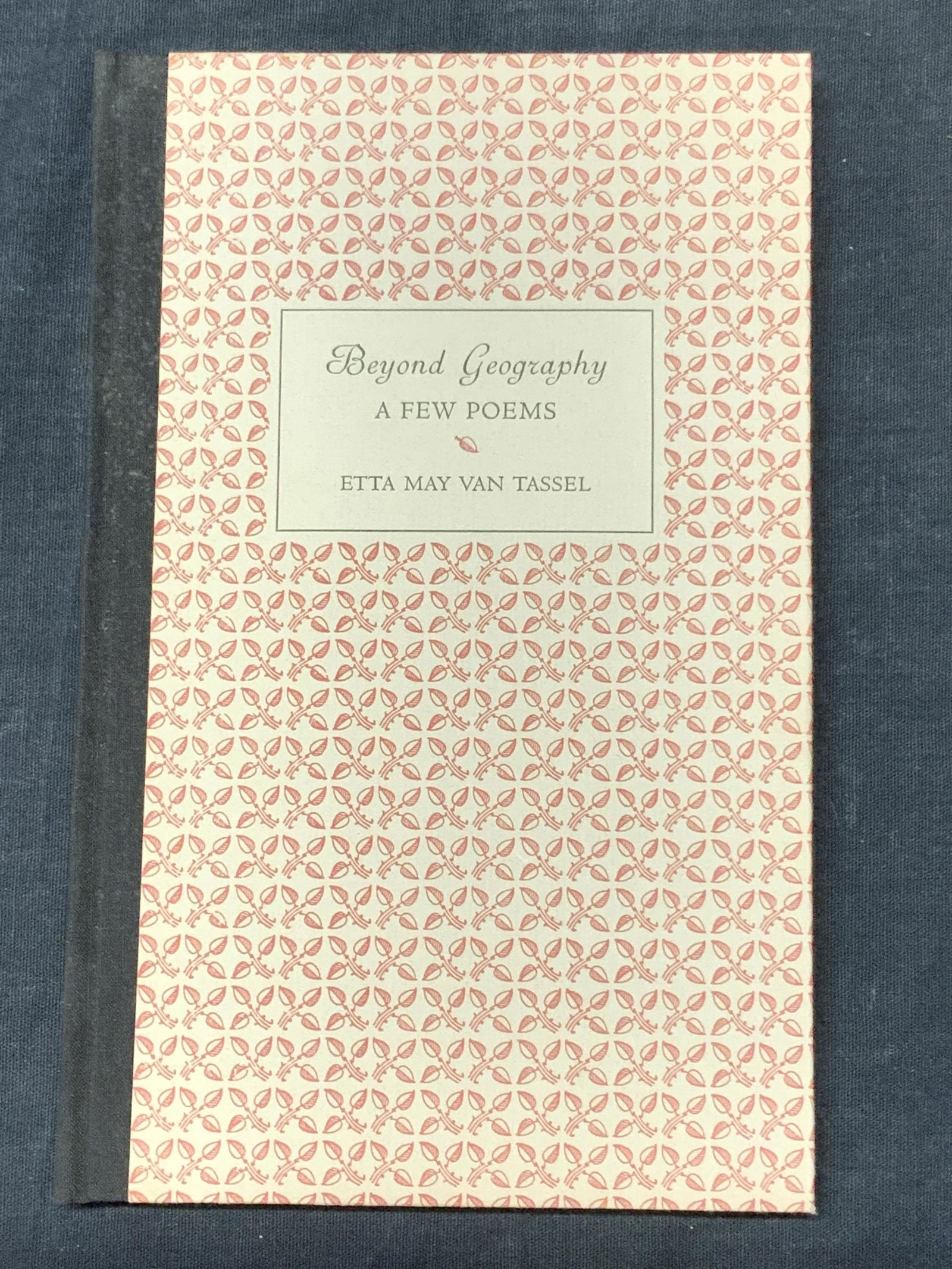 ETTA MAY VAN TASSEL Beyond Geography Vintage Book (1 of 6)