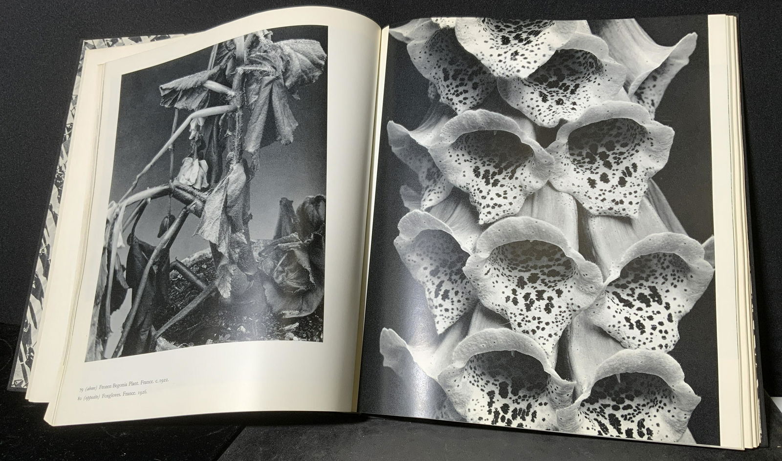 Lot 2 Hardcover Photo Books (1 of 8)