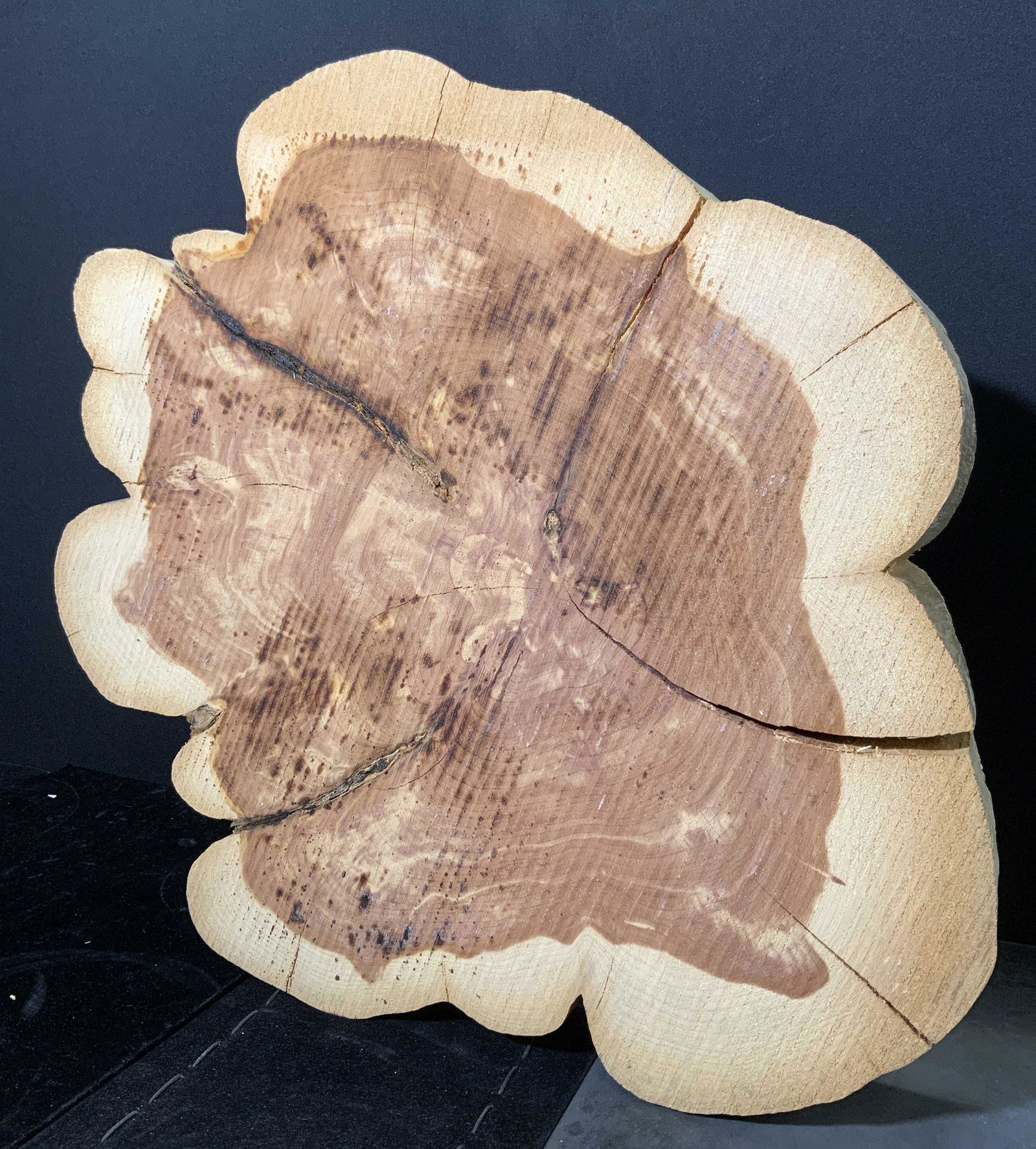 Wooden Tree Section Block (1 of 5)