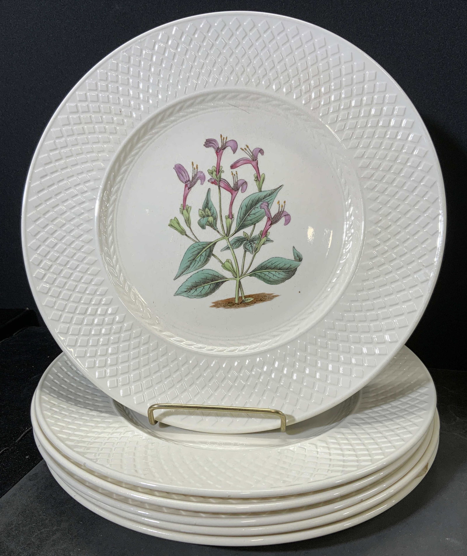 Group Lot 6 SPODE MANSARD Dishes: Lot 6 Spode plates. Undersides read as Spodes Mansard, Copeland, Spode, England, US patent 88688, Rd No. 777.266, each plate depicts a different flowering plant. Chipping present, surface wear and scr