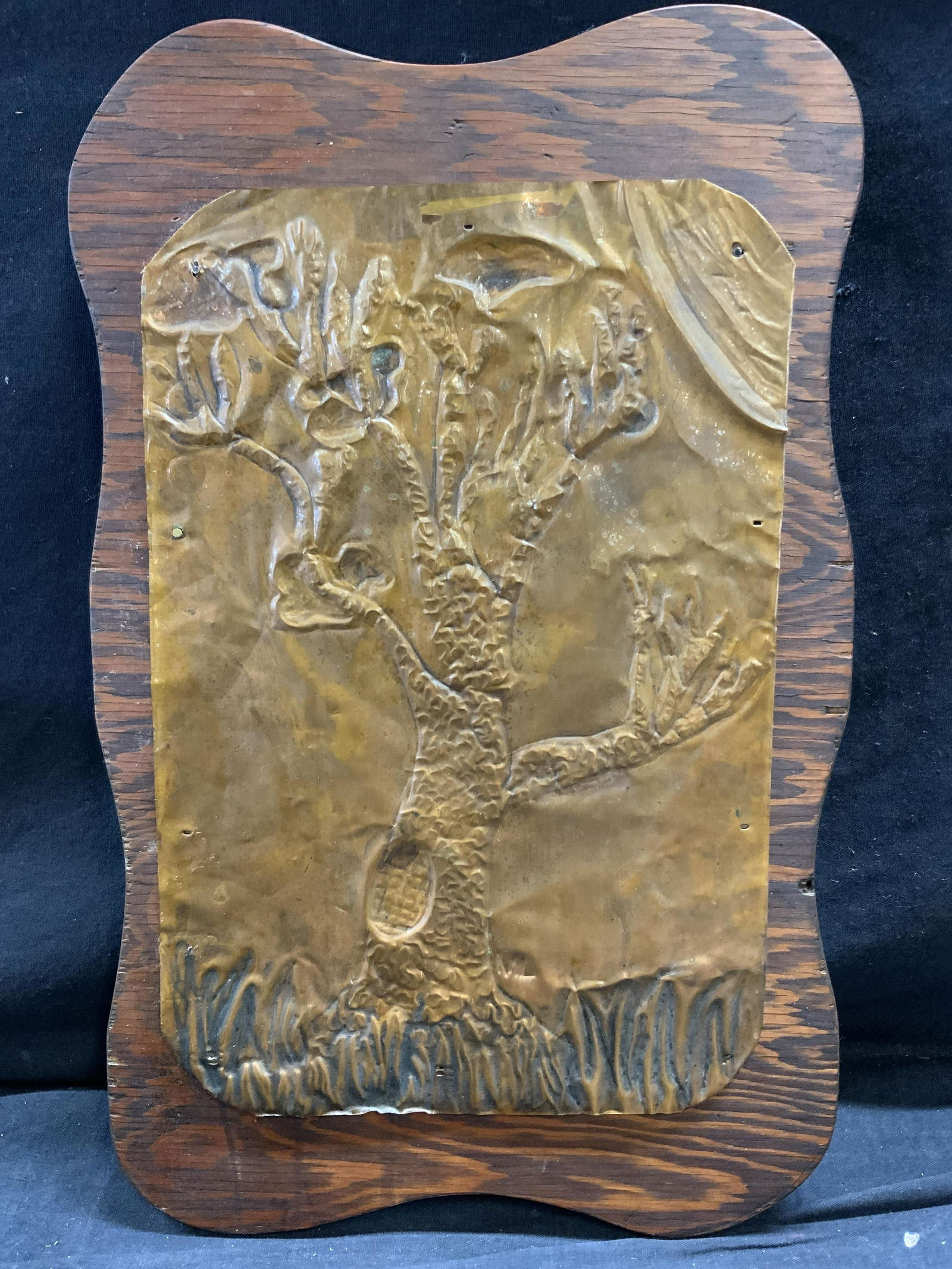 Copper Relief on Wood of Tree Trunk (1 of 5)