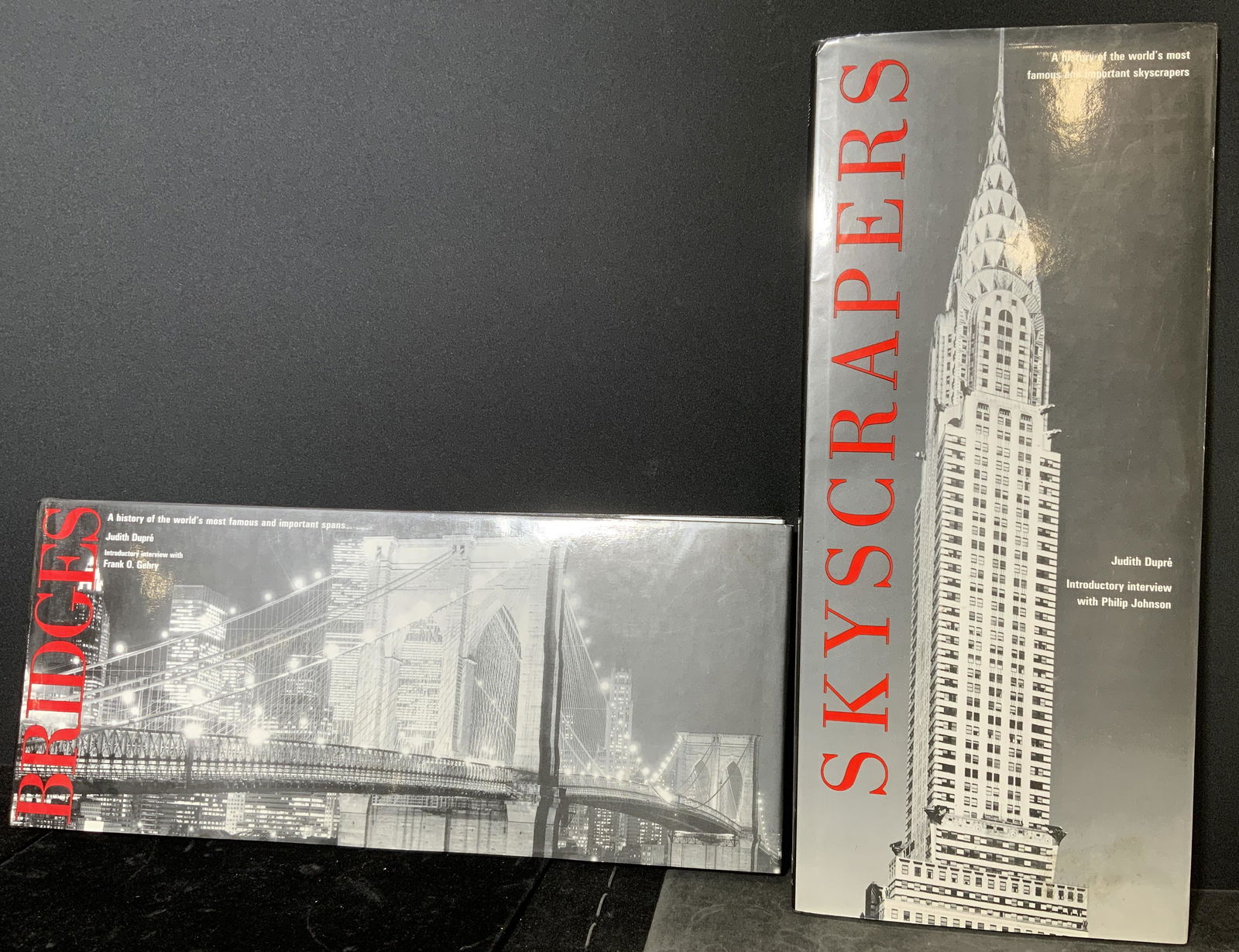 Hardcover JUDITH DUPRE Architectural Books (1 of 11)