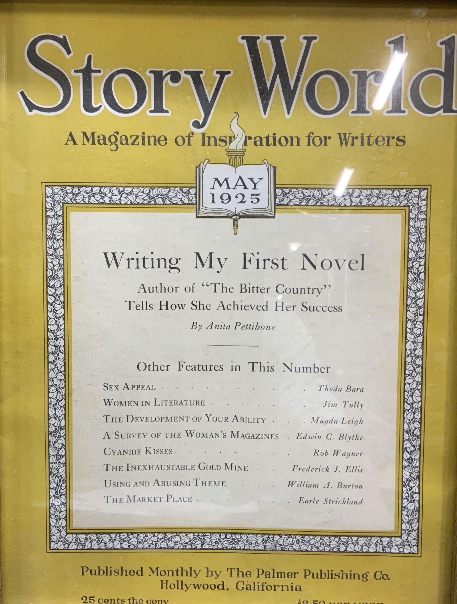 Vintage Framed Story World 1925 (1 of 6)