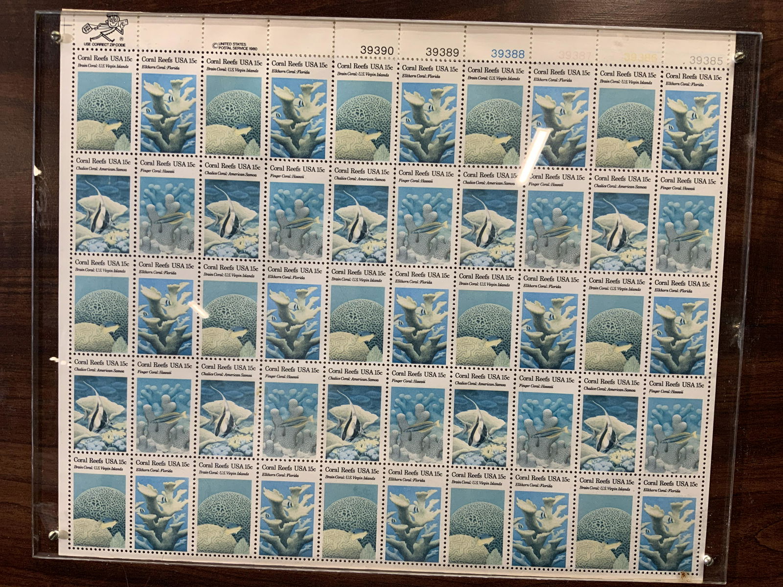 Framed Antique Postage Stamps of Coral (1 of 5)