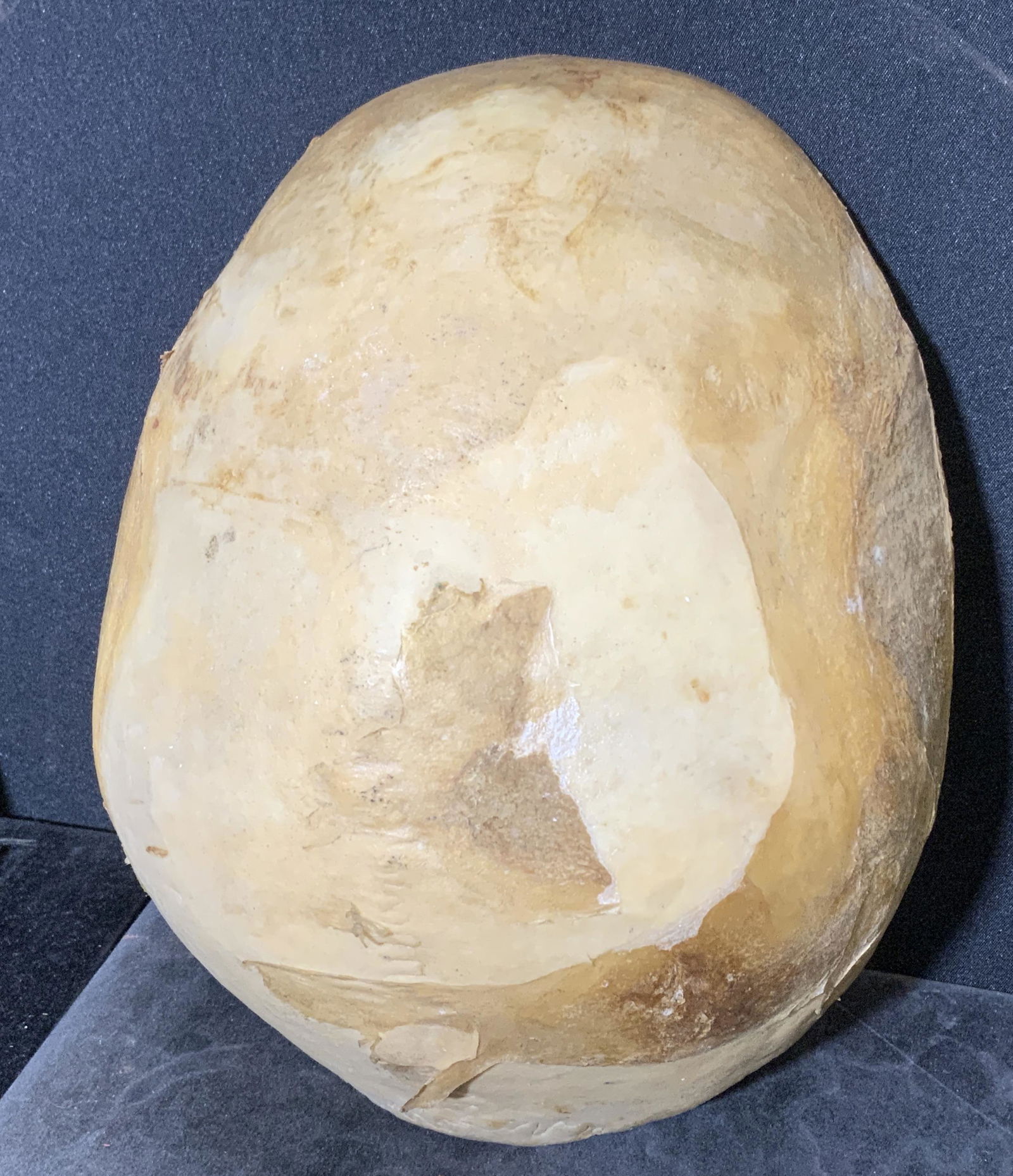 Vintage Skull Crown Section (1 of 9)