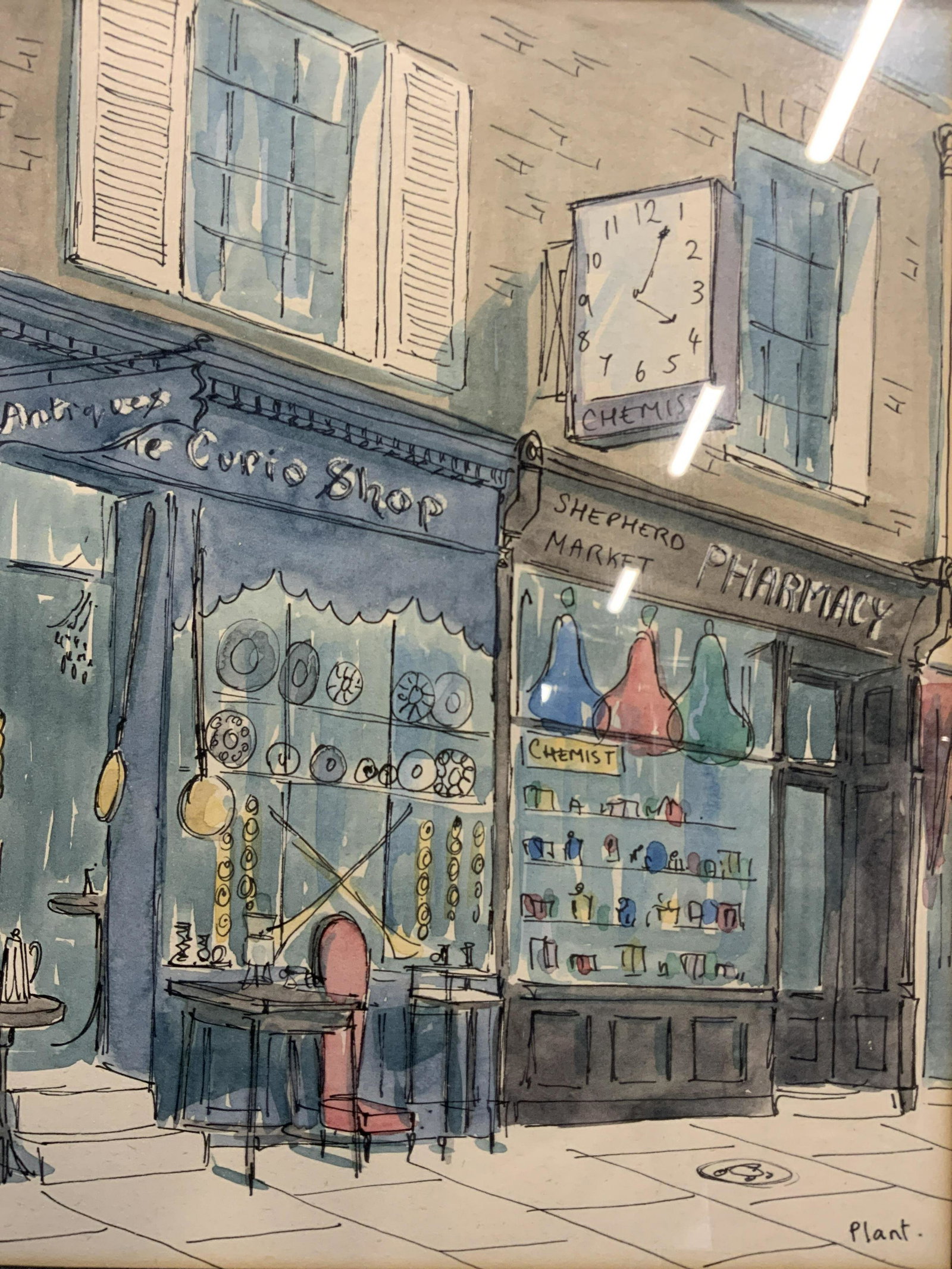 PLANT Signed Watercolor of Curiosity Shop (1 of 10)