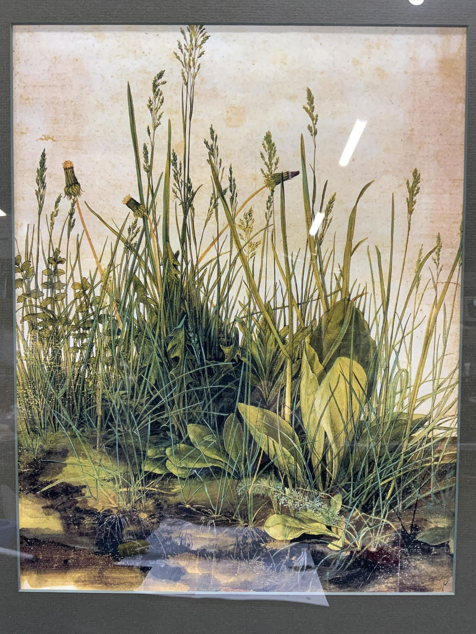 Framed Lithograph of Wild Grass (1 of 7)