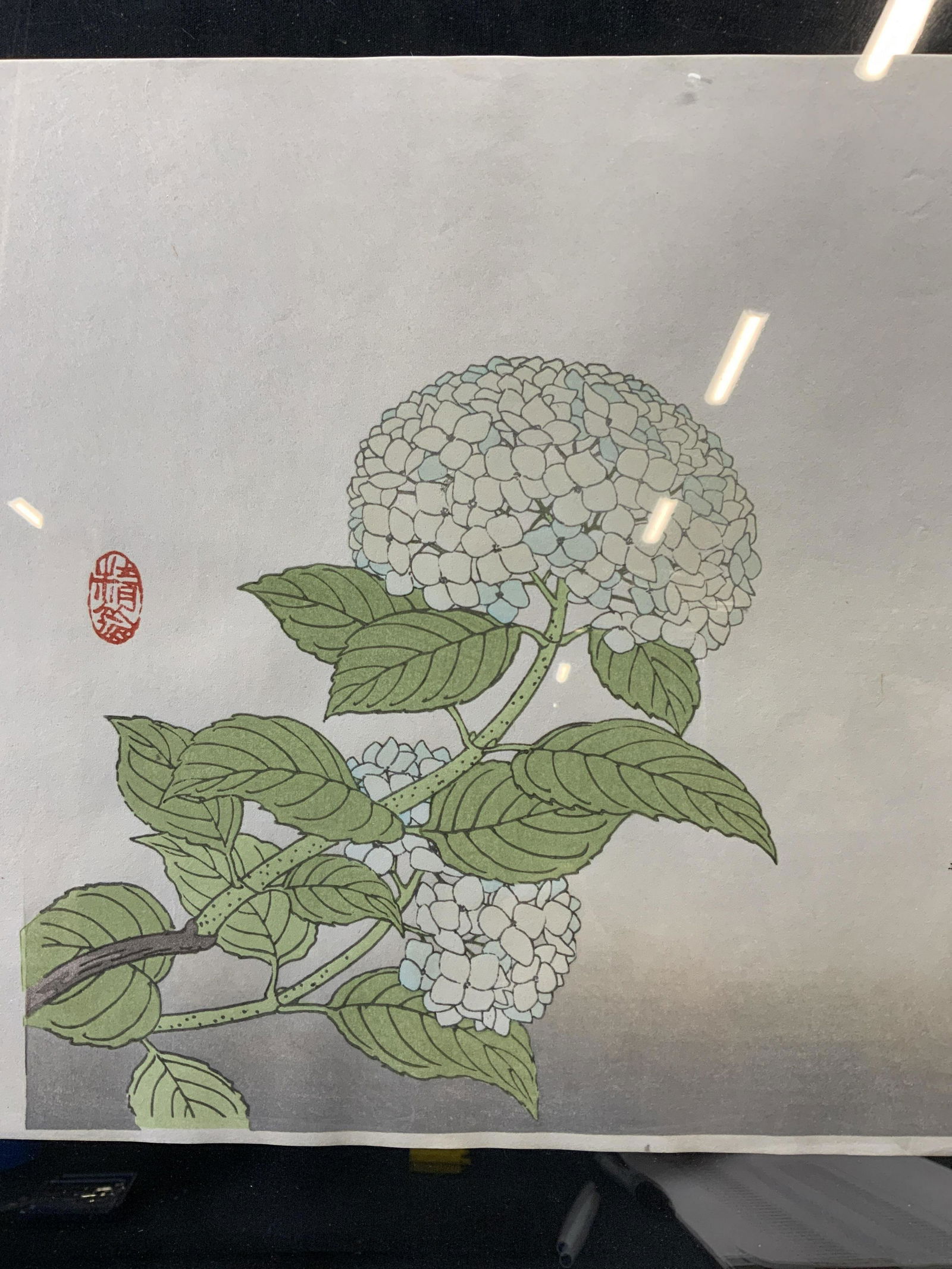 Framed Woodblock of Hydrangea Flowers (1 of 7)