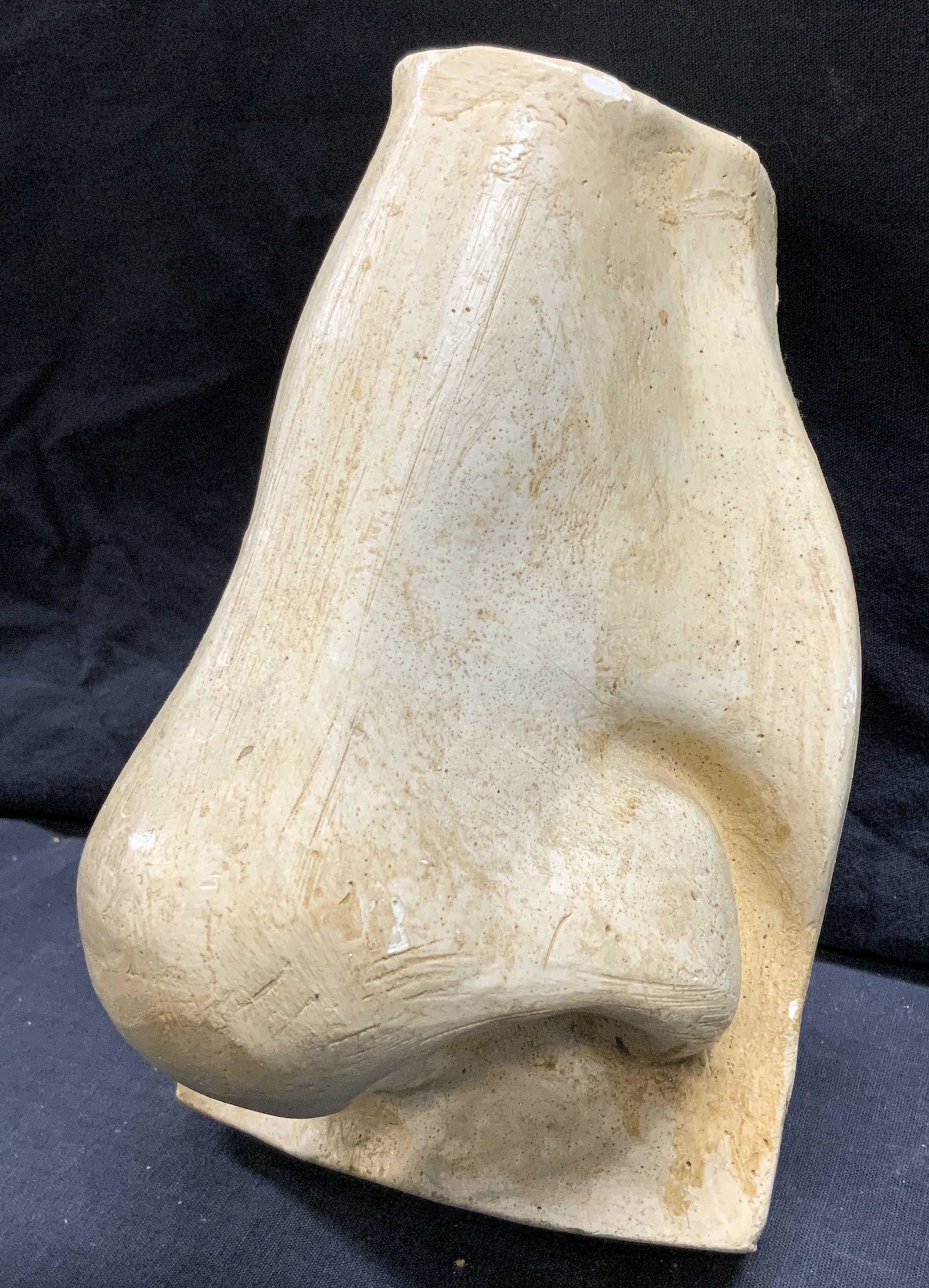 Plaster Nose Sculpture Wall Artwork (1 of 6)