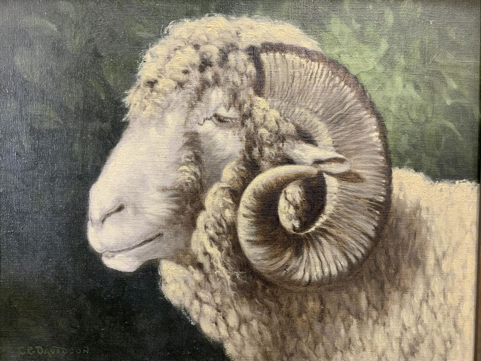 ATTR C.D. DAVIDSON Signed RAM Oil on Canvas (1 of 9)