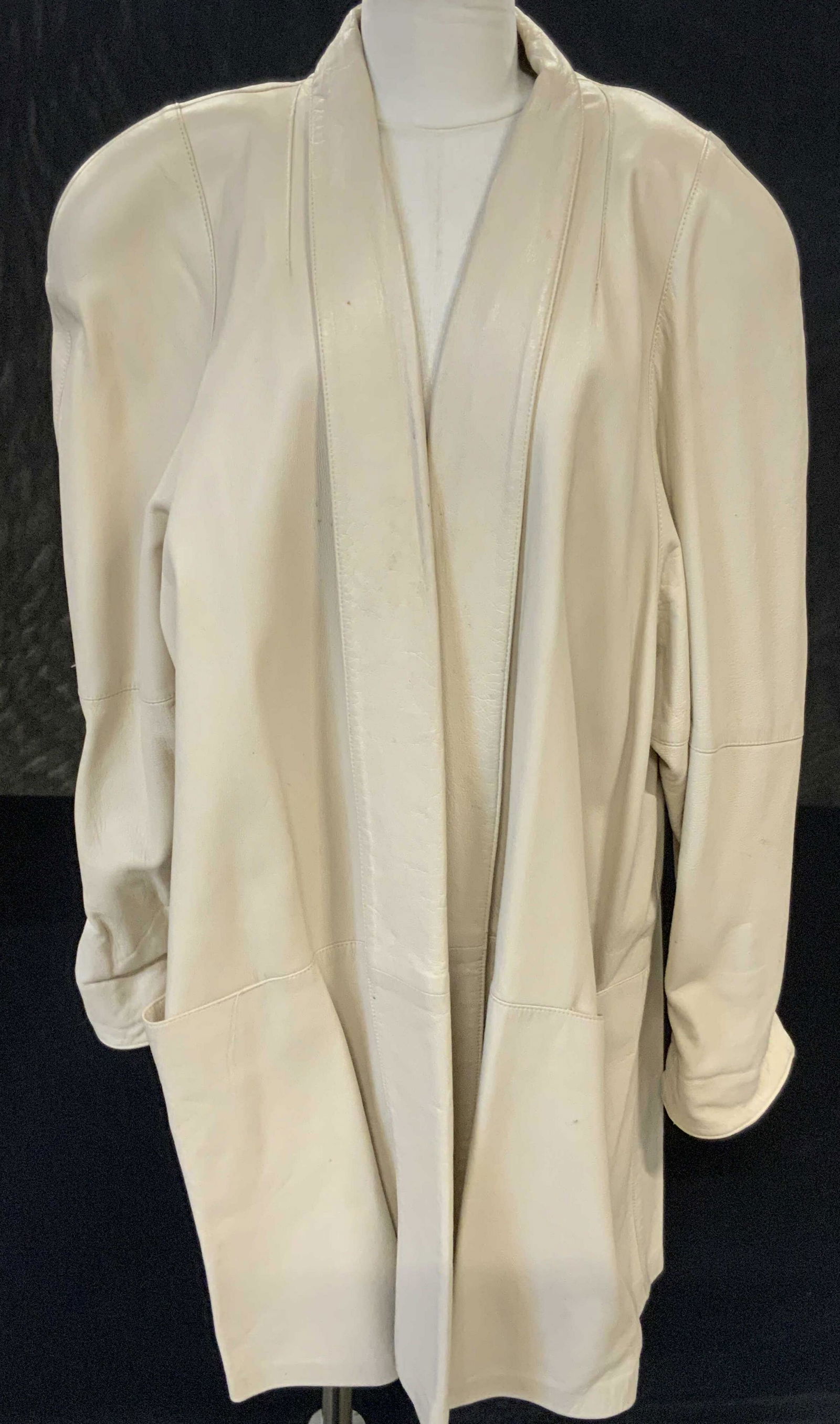 DINO ENTEPRISES ROCCO D AMELIO Vntg Leather Coat (1 of 12)