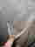 item-127125806=5