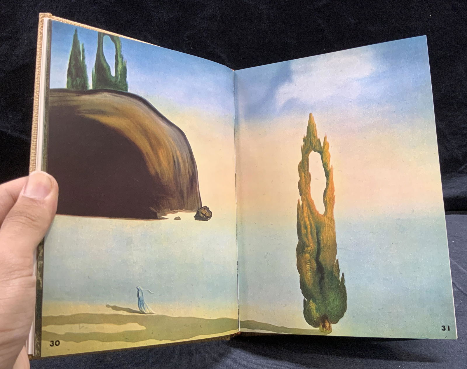 Dali by Dali, Eleanor R. Morse (1 of 6)