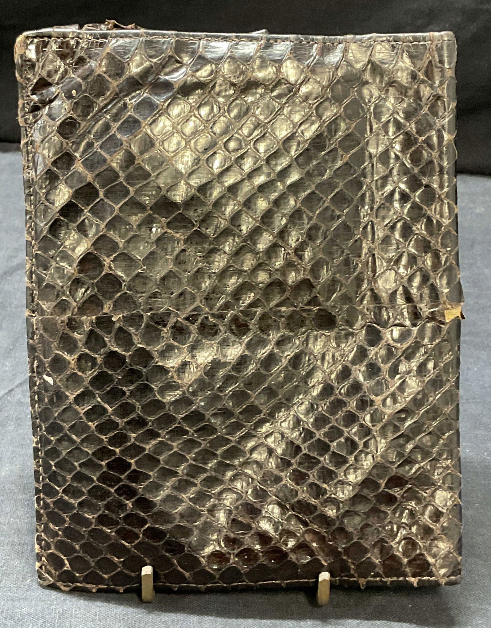 Snake Skin Wallet (1 of 7)