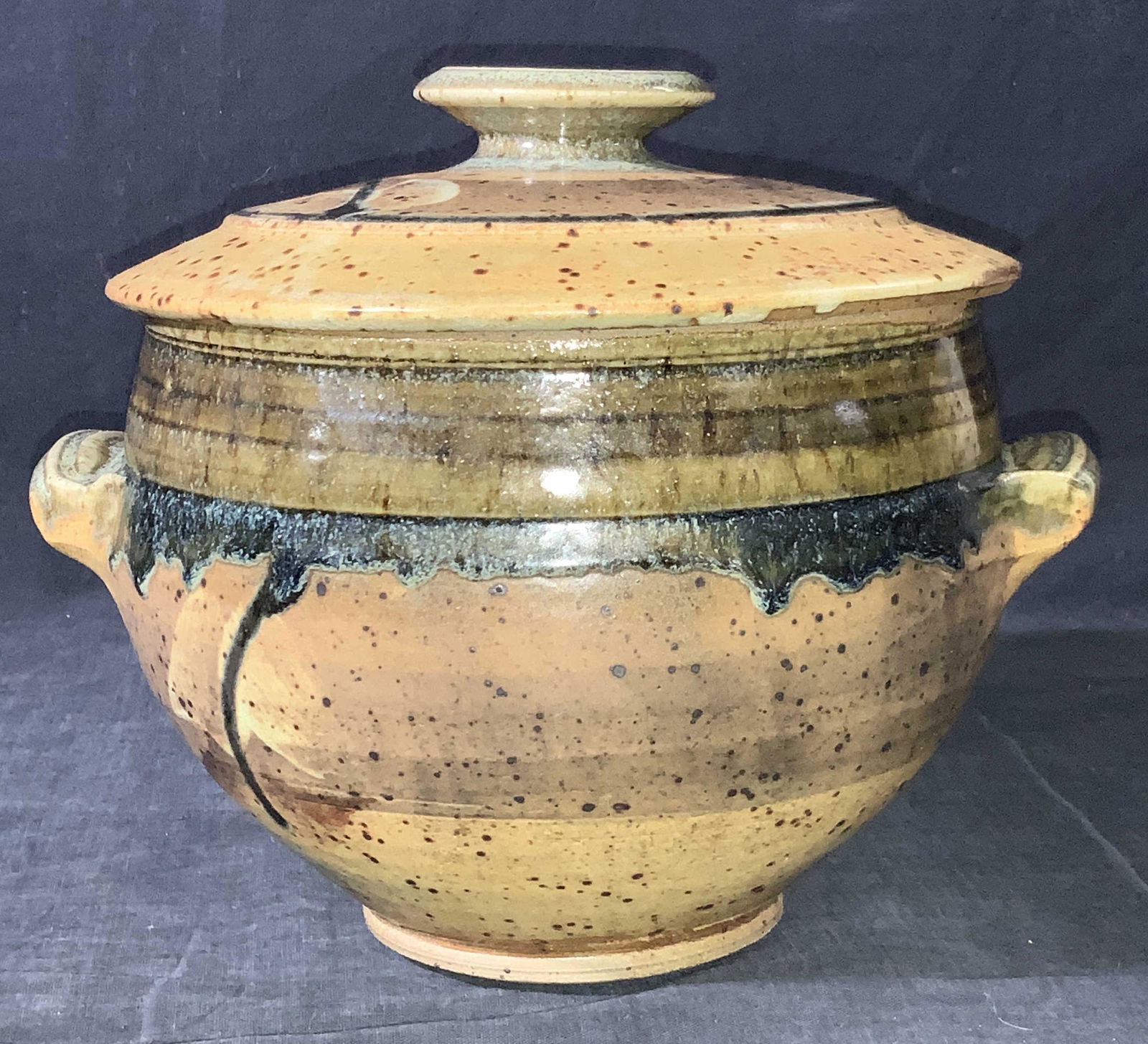 Signed Hand Crafted Lidded Vessel (1 of 9)