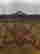 item-128436004=9