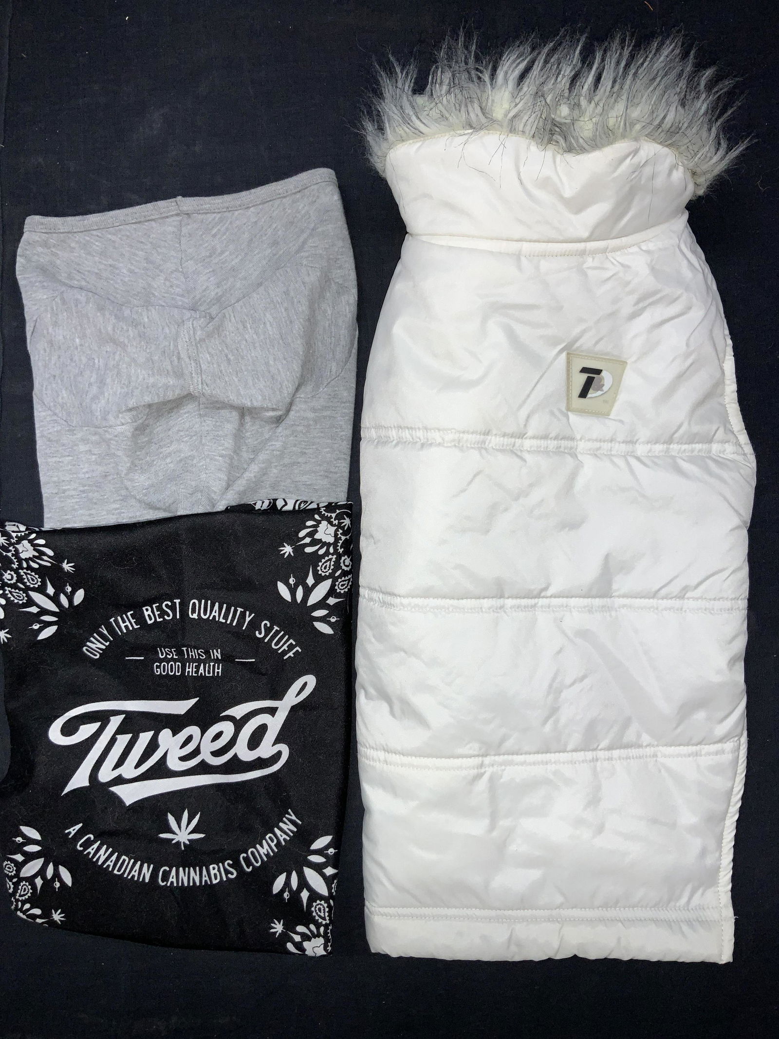 Group Lot 3 Dog Clothing & Bandanas (1 of 9)