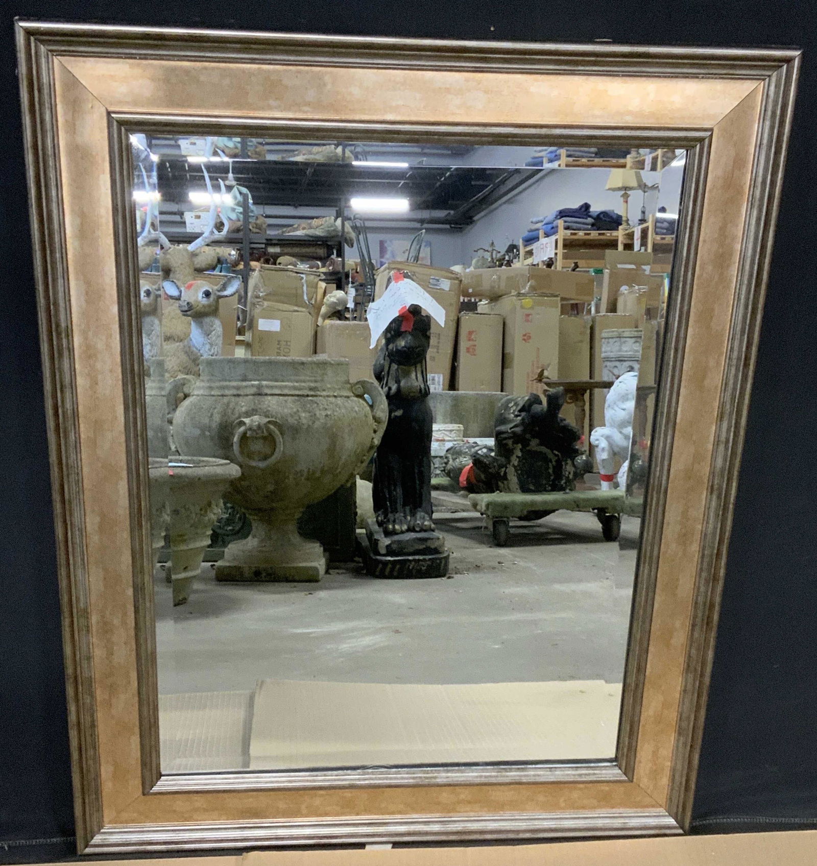 MARTHA STEWART LIVING Lucerne Rectangular Mirror (1 of 12)