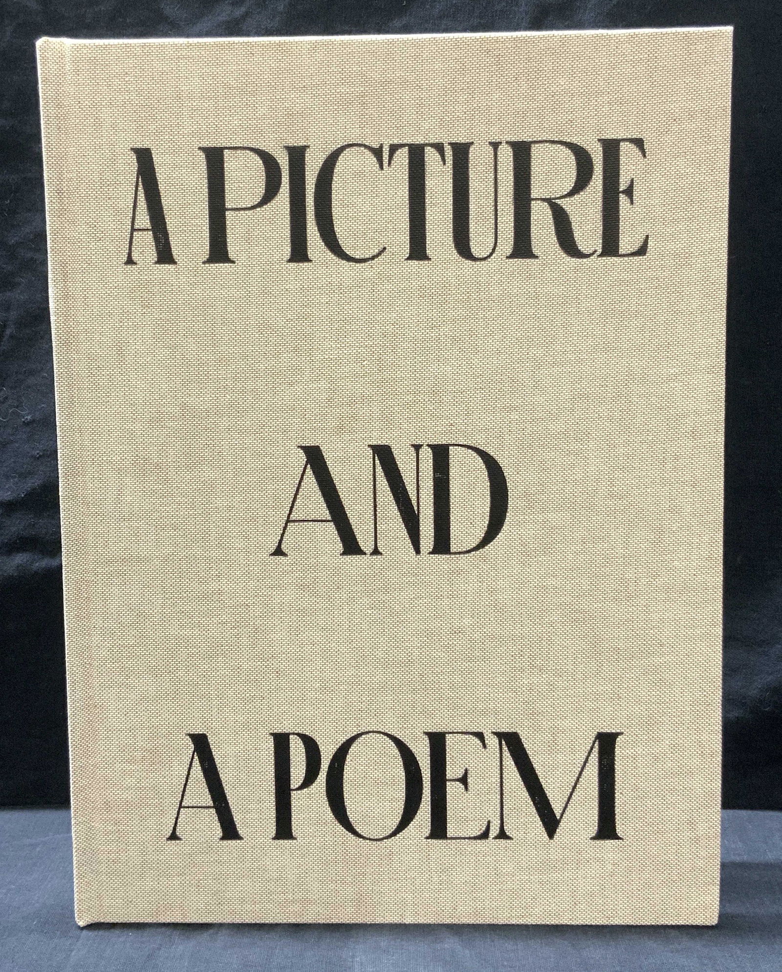 A PICTURE AND A POEM Upholstered Book (1 of 4)