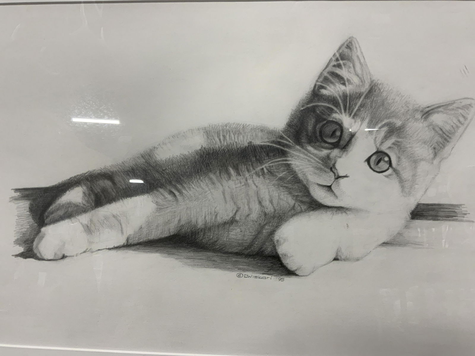 DWISKORI Signed Graphite Illustration of Kitten (1 of 7)