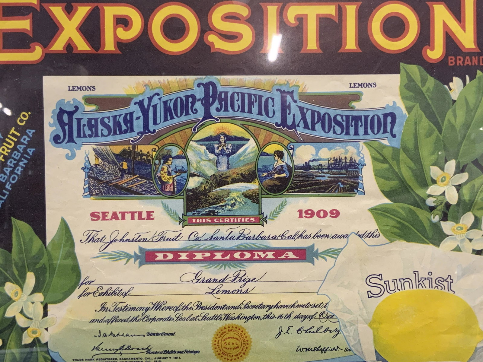 Alaska-Yukon-Pacific Exposition Vintage Lithograph: Alaska -Yukon-Pacific Exposition Vintage Lithograph, depicting a Diploma Grand Prize awarded to the Johnston Fruit Co. of Santa Barbara, CA for their exhibition of lemons, shows white daffodil flowers