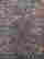 item-129344138=5
