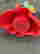 item-129472221=6