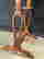 item-129557757=7