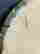 item-129557759=11