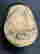 item-129557759=13