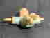 item-129557759=14
