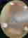 item-129601442=6