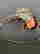 item-129675634=2