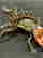 item-129675634=3